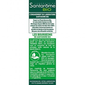 Santarome Bio - Confort Intestinal Bio | Complément Alimentaire Bio | Tri-Complexe de bourgeons - Bouleau, Romarin, Airelle |