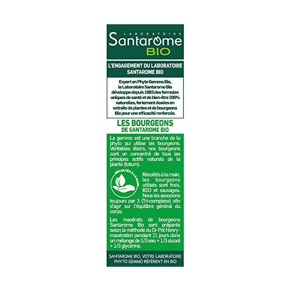 Santarome Bio - Confort Intestinal Bio | Complément Alimentaire Bio | Tri-Complexe de bourgeons - Bouleau, Romarin, Airelle |