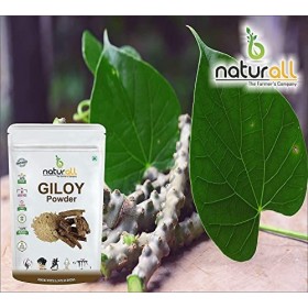 CROW B Naturall Lot de 2 poudres Tulsi, poudre Giloy 100 g chacune Combo Pack - 200 g