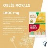 Vitavea - VitaRoyal Fortifiant BIO - Fortifiant, Bienfaits Naturels de la Ruche - Gelée royale 1800 mg hautement dosée - Lot