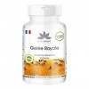 Gelée Royale 2000 mg - Extrait 4:1 500 mg - 90 gélules | HERBADIREKT by Warnke Vitalstoffe