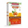 SUPERDIET - SUPERDIET- GELEE ROYALE 3000MG - Formule Brevetée - Défenses immunitaires- Ultra dosée -20 ampoules de 15ml