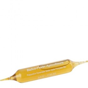 Ballot Flurin - Préparation dynamisée à la Gelée Royale Française Bio - Fabriqué en France - Certifié Paléo - 10 Ampoules
