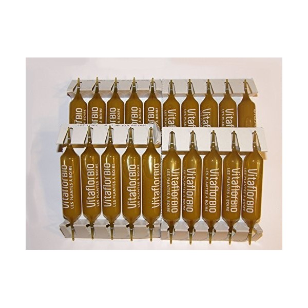 Vitaflor Gelée Royale 1500 mg Bio 20 Ampoules