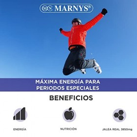 Marnys Gelée royale pure 3.850 mg - Royal Provite 5000 - Puissance maximale pour périodes spéciales - 20 flacons 416 g