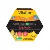 Vitaflor Gelée Royale Bio 1000 mg Énergie+ 20 Ampoules