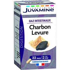 JUVAMINE - Digestion - Charbon Levure - Gaz Intestinaux - 45 Gélules