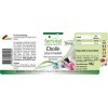 Fairvital | Choline, plus inositol - VRAC pour 100 jours - VEGAN - Fortement dosé - 100 comprimés