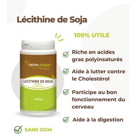 Pierre Jérôme - Lécithine de Soja 500g en poudre - Maintien du taux de  cholestérol, Digestion, Oméga 3 : : Hygiène et Santé