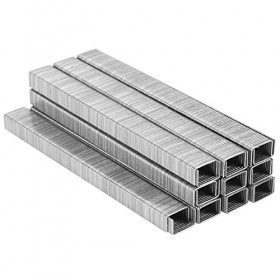 Clou de ruche, outils dapiculture en forme de U Fourniture dapiculture Clous de fixation pour ruche Agrafeuse Clou de fixat