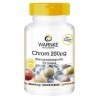 Chrome 200µg - 100 comprimés de picolinate de chrome pour 200 jours - qualité pharmacie allemande - complément alimentaire - 
