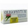 Holistica Oligophytum Manganeso Cuivre - 4 g