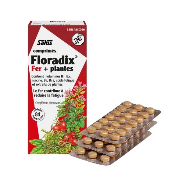 Salus Floradix Fer + Plantes - Formule Liquide Anti-Fatigue Riche en Fer - Enrichi en Vitamine C pour une Bonne Absorption - 