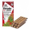 Salus Floradix Fer + Plantes - Formule Liquide Anti-Fatigue Riche en Fer - Enrichi en Vitamine C pour une Bonne Absorption - 