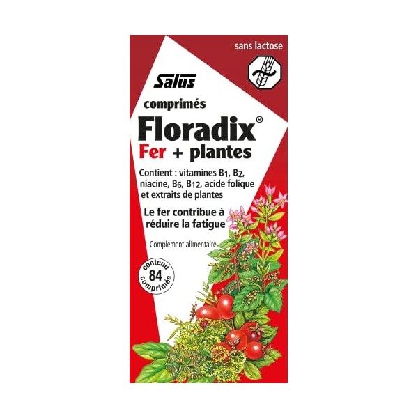 Salus Floradix Fer + Plantes - Formule Liquide Anti-Fatigue Riche en Fer - Enrichi en Vitamine C pour une Bonne Absorption - 