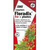 Salus Floradix Fer + Plantes - Formule Liquide Anti-Fatigue Riche en Fer - Enrichi en Vitamine C pour une Bonne Absorption - 