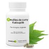 FER DORIGINE VÉGÉTALE Kaloupilé * 233.5 mg / 60 gélules * Carences hémoglobine , Energie fatigue , Immunitaire