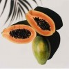RUE DES PLANTES - Papaye fermentée extrait - 120 gélules - renforcement des défenses naturelles