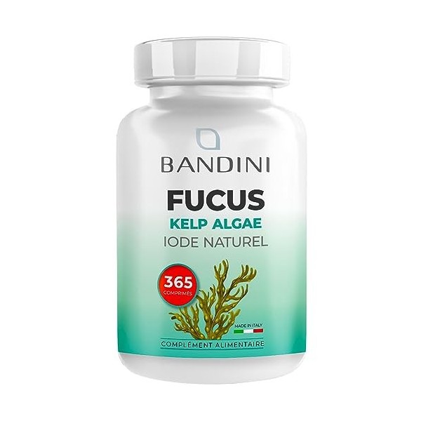 Bandini® Fucus Algue Varech Iode Naturel - Standardisé à 0,1% en Iode - 365 Comprimés 150 mcg dIode - Complément Alimentai