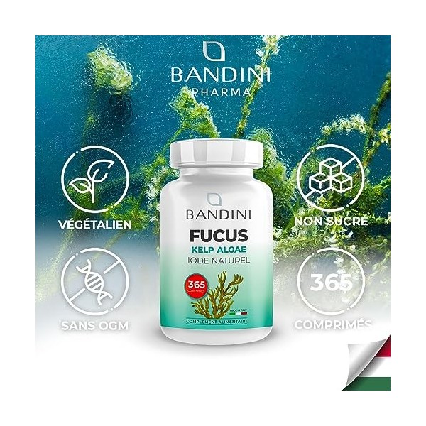 Bandini® Fucus Algue Varech Iode Naturel - Standardisé à 0,1% en Iode - 365 Comprimés 150 mcg dIode - Complément Alimentai