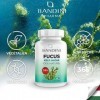 Bandini® Fucus Algue Varech Iode Naturel - Standardisé à 0,1% en Iode - 365 Comprimés 150 mcg dIode - Complément Alimentai