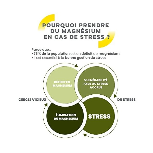 D-STRESS COMPRIMÉS 80 comprimés | Magnésium de 3ème Génération + Taurine + Arginine + Vitamines B | Gère le Stress du Quotidi