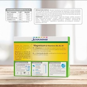 JUVAMINE - Magnésium + Vitamines B6, B2, B1 - Orange - 30 Comprimés Effervescents