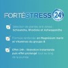 Forté Pharma - Forté Stress 24h | Magnésium Marin, Ashwagandha, Rhodiola, Vitamine B | Angoisse, Anxiété, Charge Mentale - An