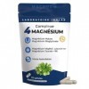 MAGNESIUM B6 |4 Mg Synergiques 1980mg/jour| Bisglycinate + Malate + Végétal bio + chélaté Taurine| 300mg Mg pur/jour |Toléran