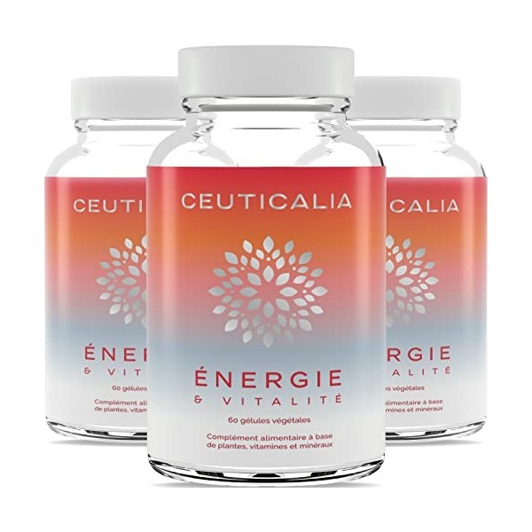 Complément Alimentaire Énergie et Vitalité - Boost Energie Anti Fatigue et Épuisement - Pour Adulte - Ginseng, Guarana, Maté,