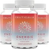 Complément Alimentaire Énergie et Vitalité - Boost Energie Anti Fatigue et Épuisement - Pour Adulte - Ginseng, Guarana, Maté,