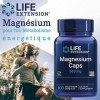 Life Extension, Magnesium Caps, 500mg, 100 Capsules végétaliennes, Testé en Laboratoire, Sans Gluten, Végétarien, Sans Soja, 