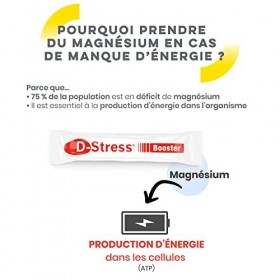 D-STRESS BOOSTER Lot de 10X20 sachets | Magnésium de 3ème génération | Booste l’énergie physique et mentale et gère les monté