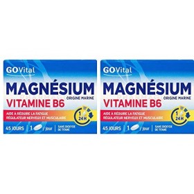 Alvityl Magnésium marin Vitamine B6 boîte de 45 Comprimés 1/24 heures : 45 jours lot de 2 boîtes