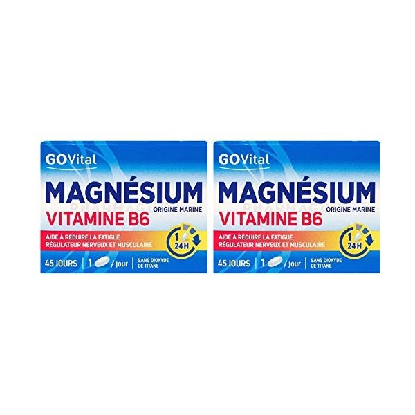Alvityl Magnésium marin Vitamine B6 boîte de 45 Comprimés 1/24 heures : 45 jours lot de 2 boîtes