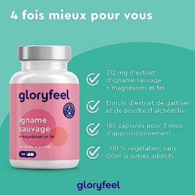 Extrait dIgname Sauvage 312 mg avec Gattilier, Alchémille, Magnésium et Fer 180 Capsules , Yam Pure et Hautement Dosée, R