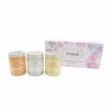 Zenaé Coffret de 3 pots Cristaux de magnésium naturel Spa & Bain 900gr