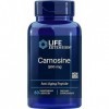 Life Extension, L-Carnosine, 500mg, Hautement Dosé, 60 Capsules végétaliennes, Testé en Laboratoire, Sans Gluten, Végétarien,