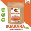 Guarana BIO en poudre - 200g - La Brigade des Épices – 5% de Caféine NATURELLE – SANS maltodextrine & SANS Additifs – Origine