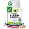 SILICIUM Organique BIO | Articulations, souplesse, vitalite | Peau & cheveux | Sante osseuse et articulaire | Complement Alim