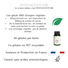 COSTUS INDIEN - COSTUS MARIN - 60 GÉLULES VÉGÉTALES - PHYNACOSTUS, FABRIQUE ET ANALYSÉ EN FRANCE, PHYNACARE LABORATOIRE