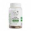 CIRCULATION & JAMBES LOURDES - Vigne Rouge Rouge Bio certifiée Ecocert 120 gélules - Cure 1 mois - Active la circulation - Fa