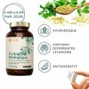 Nature Basics® BIO Capsules de fenugrec activées | Fenugrec naturel hautement dosé | Dose journalière de 2.600mg | 180 capsul