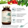 Nature Basics® Poudre basique 100% naturelle | certifiée & durable en bocal | citrates digestes grâce à un arôme naturel | 52