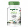 Fairvital | Potassium VEGAN - Fortement dosé - 90 gélules - 300 mg de potassium par gélule