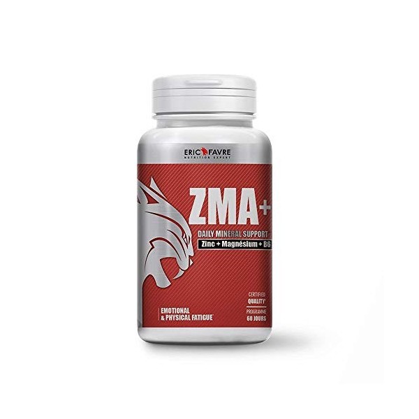 ZMA + - Complément Hautement dosé en Zinc Magnésium et Vitamine B6 - Métabolisme Energétique, Synthèse Protéique, Taux de Tes