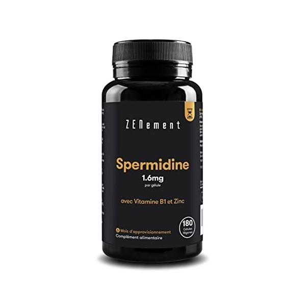 Spermidine, 180 Gélules | 1,6 mg par gélule | avec Vitamine B1 et Zinc | Extrait de germe de Blé | Anti-âge, Vieillissement S