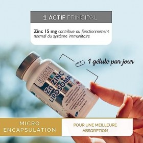Zinc Liposomé - Complément Alimentaire Défenses Naturelles et Beauté de la Peau - Zinc Micro-encapsulé - 60 Gélules - Program