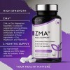 ZMA haute résistance - 120 capsules Végan - Zinc, magnésium et vitamine B6 - Contribue à la fonction musculaire normale, aux 