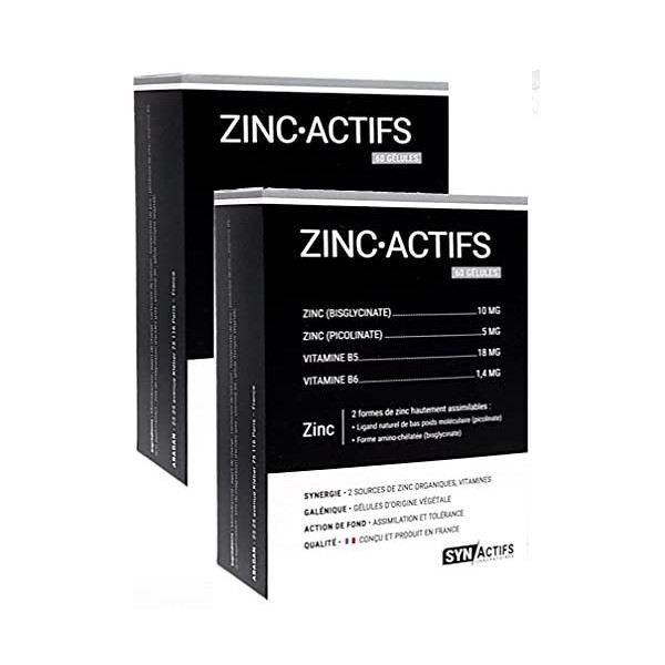 ARAGAN ZINC ACTIFS - 2 Sources ZINC Organiques - Synactifs - Lot de 2 Boites de 60 gélules 2 …